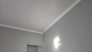 house, lights, wire and structure